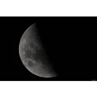 Объектив Nikon NIKKOR Z 800mm f/6.3 VR S - Изображение №25 — Chaika Market