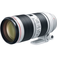 Объектив Canon EF 70-200mm f/2.8L IS III USM - Изображение №2 — Chaika Market