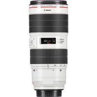 Объектив Canon EF 70-200mm f/2.8L IS III USM - Изображение №8 — Chaika Market