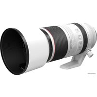 Canon RF 100-500mm f/4.5-7.1 L IS USM Image #6