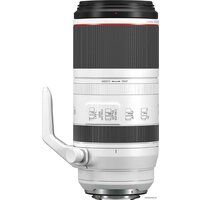 Canon RF 100-500mm f/4.5-7.1 L IS USM Image #4