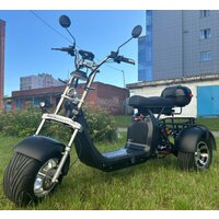 Smart Balance X11 Trike 2024 (черный)