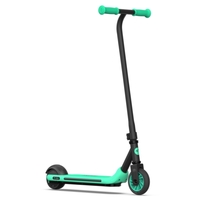 Ninebot eKickScooter ZING A6 (зеленый)
