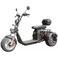 Smart Balance X12 Pro Trike 2024 (черный)