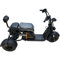 Smart Balance Mini Trike Sport 2024 Image #1