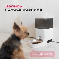 RED Solution Red For Pets 01S Image #13