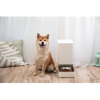 Xiaomi Smart Pet Food Feeder XWPF01MG-EU (европейская версия) Image #15