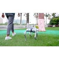 Unitree Go2 Pro Image #21