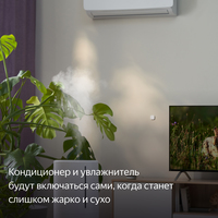 Яндекс YNDX-00523 температуры и влажности Image #6