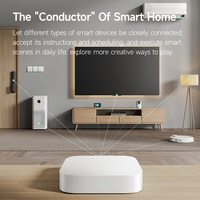 Xiaomi Smart Home Hub 2 ZNDMWG04LM (международная версия) Image #3