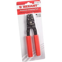 Rexant 12-3031