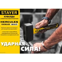 Stayer Professional Hercules 20052-20 Image #4