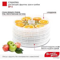 Великие Реки ВР-5 (прозрачный/белый) Image #3