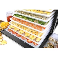 Tribest Sedona Combo Rawfood SD-P9150 (пластиковые лотки) Image #10