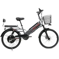 SameBike E-ALFA NEW SB-E-ALFA500-48/10 (серый)