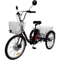 AVM E-Alfa Trike 24
