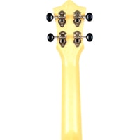 Flight TUS40 Arcana Image #5
