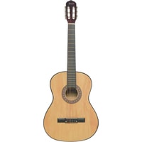 Terris TC-3901A NA