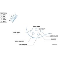 Yamaha TRBX305 (дымчатый зеленый) Image #2