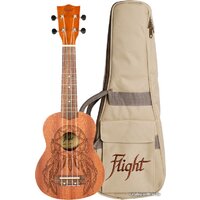 Flight NUS350 DC Image #1