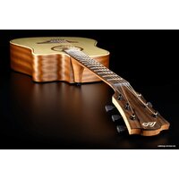 Электроакустическая гитара LAG Tramontane 70 T70DCE - Изображение №4 — Chaika Market