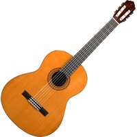 Yamaha C40 (глянцевый натуральный) Image #1