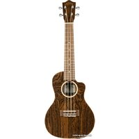 Lanikai FB-CETC