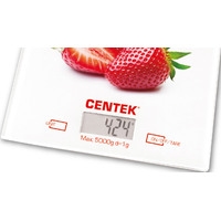 CENTEK CT-2462 Image #2