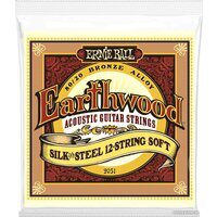Ernie Ball 2051 9-46