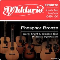 D'Addario EPBB170