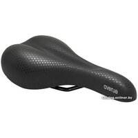 Selle Royal Avenue Athletic