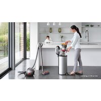 Dyson Big Ball Multifloor 2+ Image #5