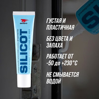 ВМПАВТО Silicot 30 г 2301 Image #2