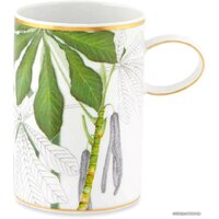 Vista Alegre Amazonia 21133556 Image #1