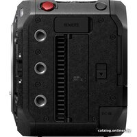 Panasonic DC-BS1H Image #7