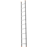 LadderBel 10 ступеней [LS 110] Image #1