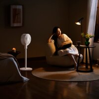 Xiaomi MiJia Circulating Fan Dual-use BPLDS08DM (китайская версия) Image #3