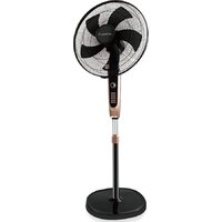 Lexical LSF-7030-2