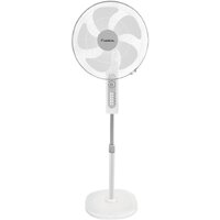 Lexical LSF-7006-8