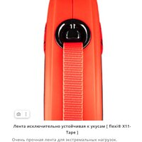 Flexi Xtreme XT30T8.251.OR (L) Image #5