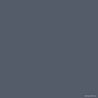 Falcon Eyes BackDrop 2.72x10 (темно-серый)