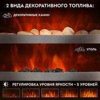 Planta PFP-FS600 (серебристый) Image #3