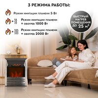 Planta PFP-FS600 (серебристый) Image #8