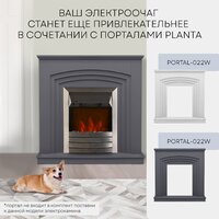 Planta PFP-FS600 (серебристый) Image #7