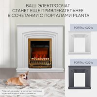 Planta PFP-FS400 (золотистый) Image #8