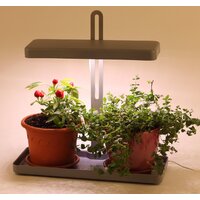 ЭРА FITO-20W-QLED-W Image #3