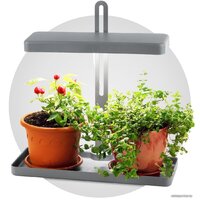 ЭРА FITO-20W-QLED-G Image #2