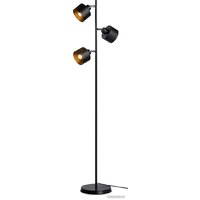 Ambrella Traditional TR8155 Image #1