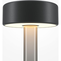 Maytoni AI Collaboration MOD229TL-L3B3K3 Image #2