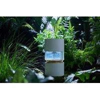 SmartMi Humidifier Rainforest CJJSQ06ZM (международная версия) Image #6